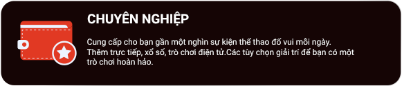 dịch vụ chuyên nghiệp